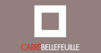 Découvrez en avant-première la nouvelle saison du Carre Belle-Feuille. Le vendredi 15 juin 2012 à Boulogne-Billancourt. Hauts-de-Seine. 